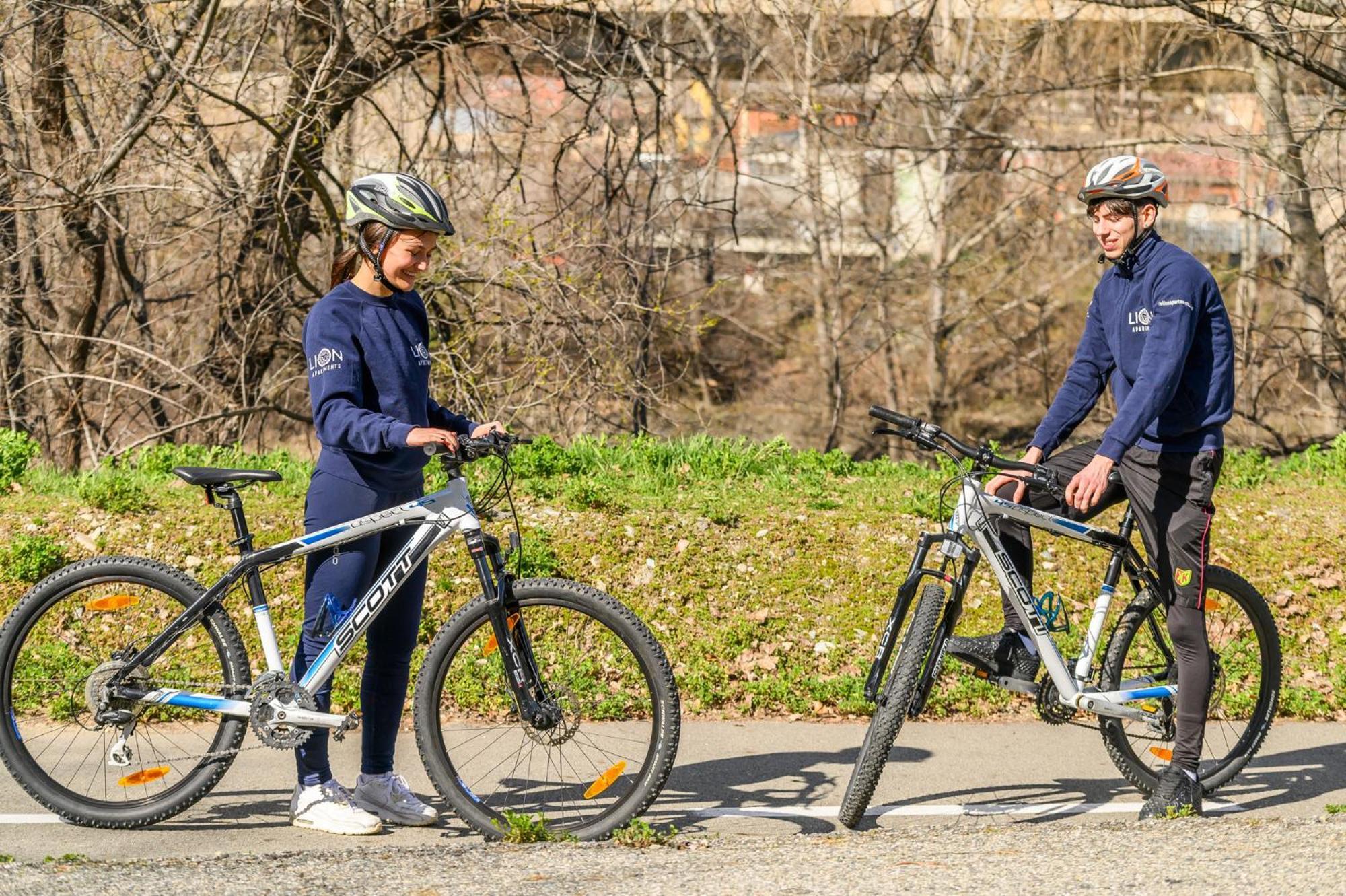 Le Lion Apartments - Bike & Ski Аоста Экстерьер фото